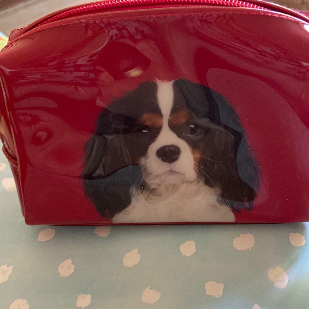 Catseye small makeup bag